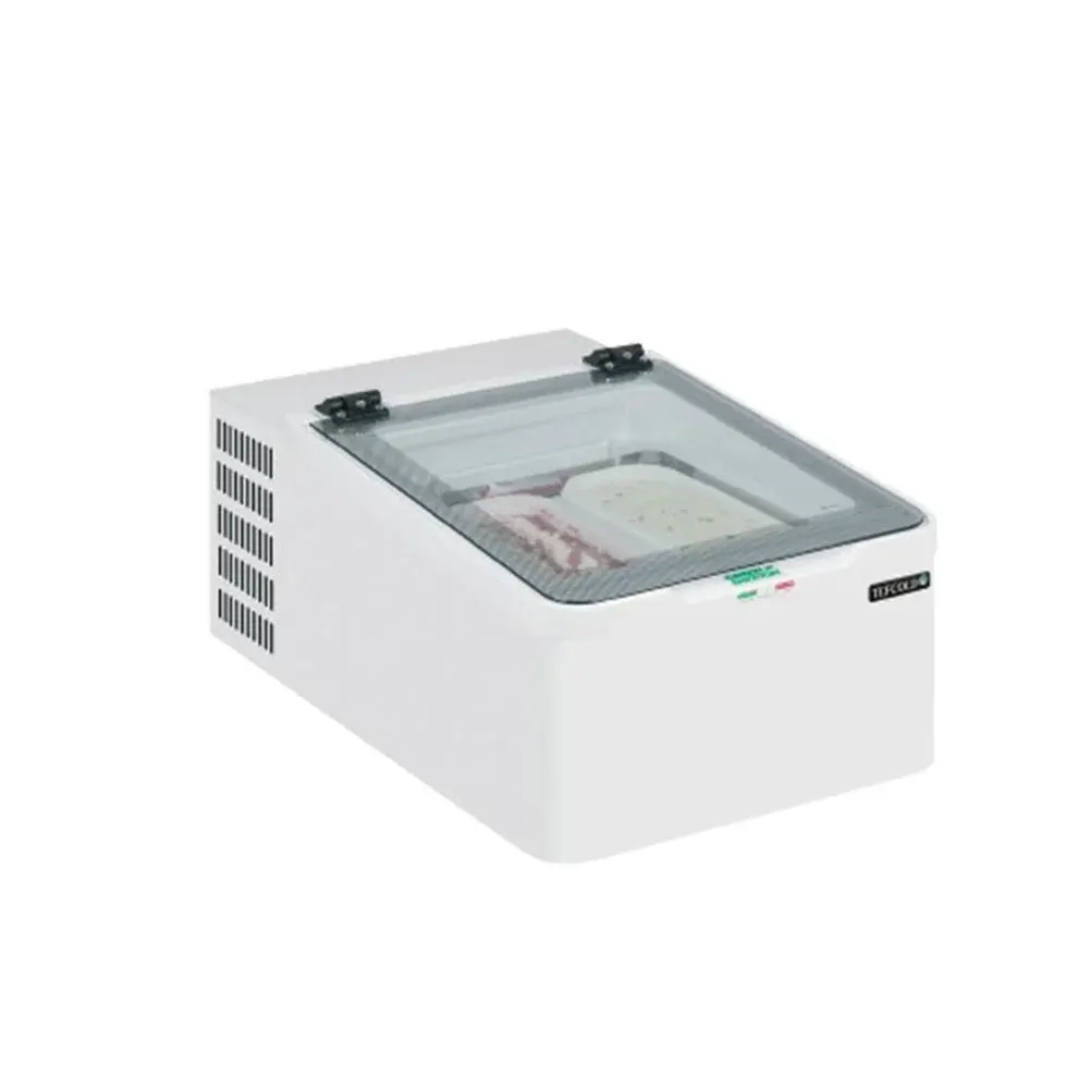 TEFCOLD ICE2 Scoop Ice Cream Freezer 1